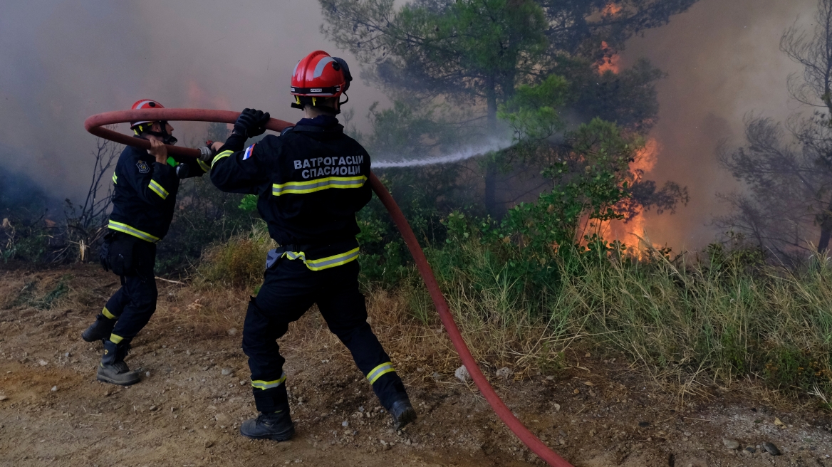 Πυρκαγιά σε Πουρνάρια κοντά στα Φάρσαλα